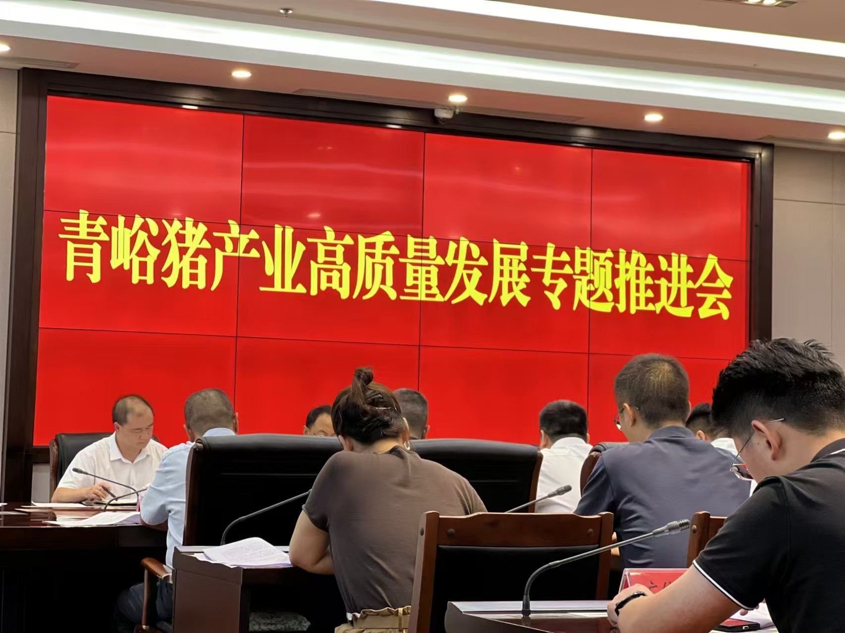 關(guān)于推動巴山牧業(yè)青峪豬產(chǎn)業(yè)高質(zhì)量發(fā)展的專題推進(jìn)會