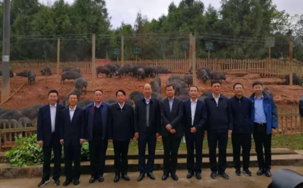中國(guó)工商銀行黨委書(shū)記、董事長(zhǎng)易會(huì)滿一行來(lái)巴山牧業(yè)調(diào)研